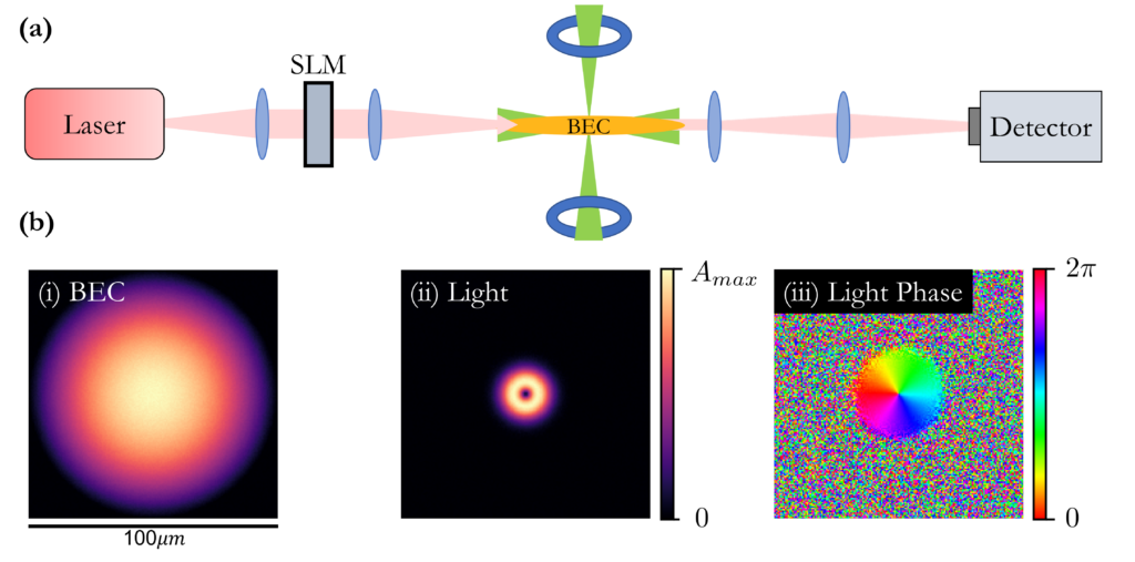 Structured in Bose-Einstein –